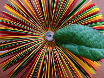 Apple colorful pattern