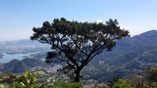 High Land panorama tree photo