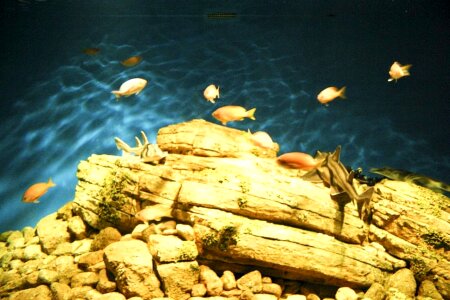Underwater  