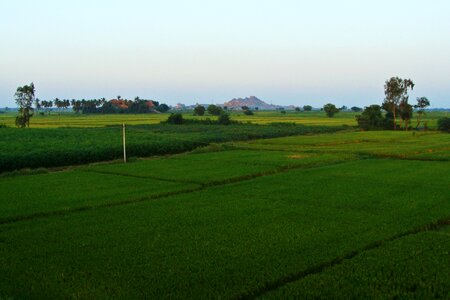 Gangavati karnataka india photo