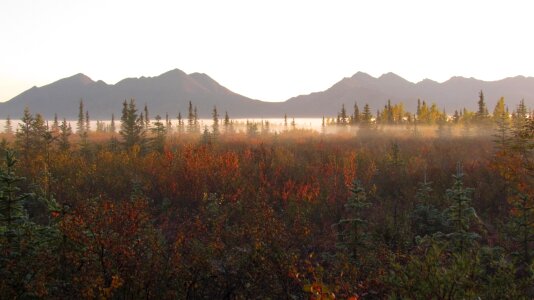 Autumn Morning Mist Kobuk Valley National Park photo