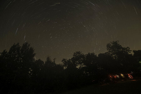 Treetops and Star Trails photo