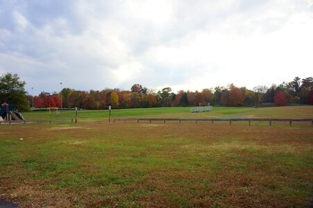 Ellanor C Lawrence Park photo