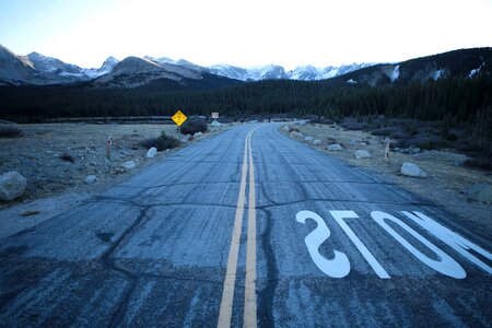 Asphalt conifer countryside photo