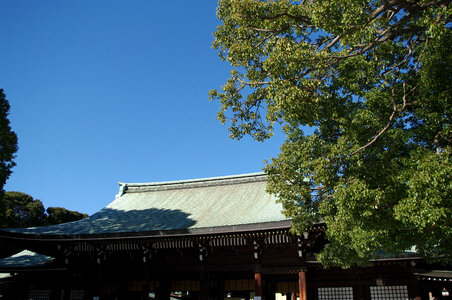 24 Meiji Shrine