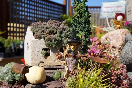 Halloween scarecrow photo