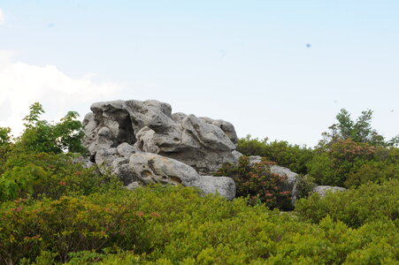 Bear Rocks - Dolly Sods WV