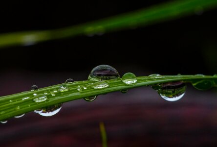 Beautiful Image beautiful photo condensation