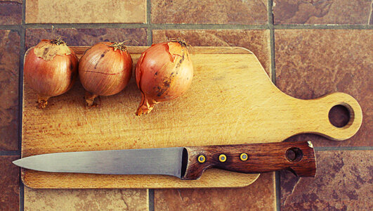 Onions on Wooden Cutting Board photo