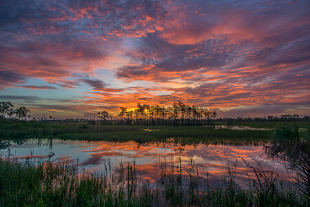Sunset and Dusk over Big Cypress National Preserve photo