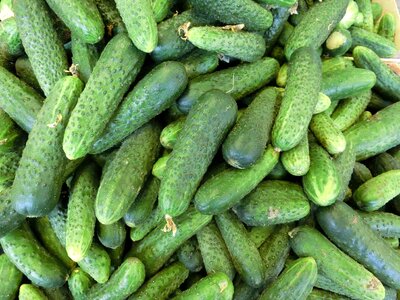 Cucumbers vegetables healthy