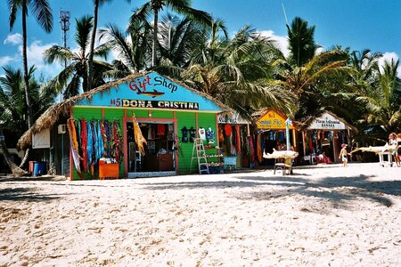 Beach palm trees vacations photo