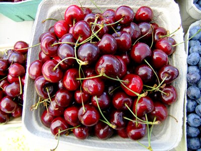 Fresh healthy berry photo