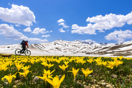 Biker going past Mountain landscape with flowers