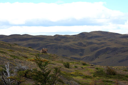 Torres del Paine, Patagonia, Chile photo