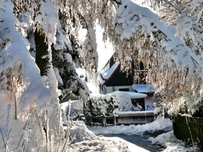 Saxon switzerland frost winter