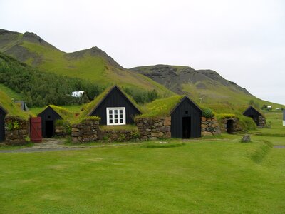 House green space overgrown