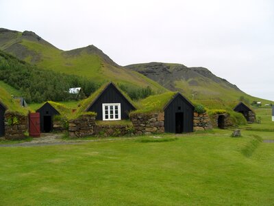 House green space overgrown photo