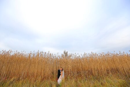 Grass rural high
