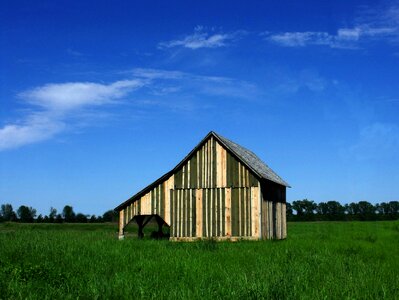 Rural landscape blue photo