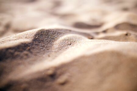 Beach close-up detail photo