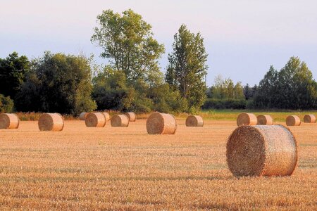 Agricultural agriculture autumn