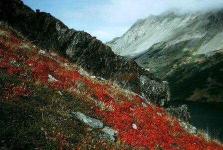 Camp mountain red