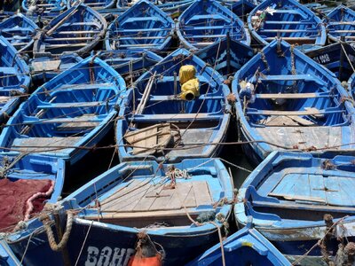 Canoes boats paddles photo