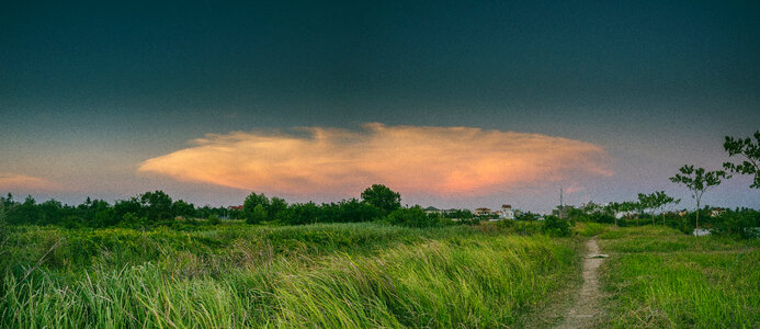 Sunset over grasslands and sky photo