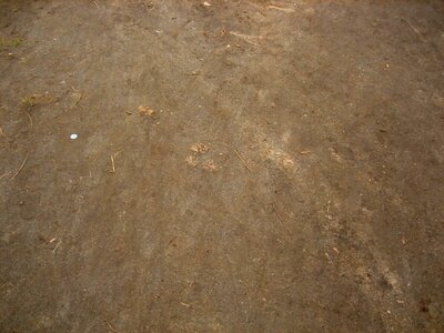 Brush concrete 