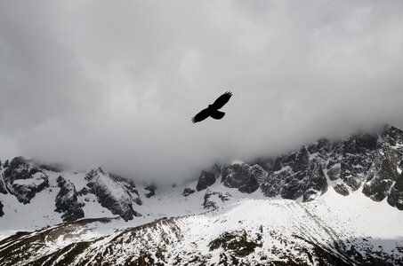 Mountains winter flying photo