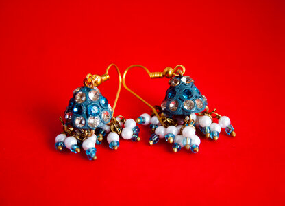 Earrings photo