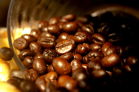 Coffee Beans Bowl photo