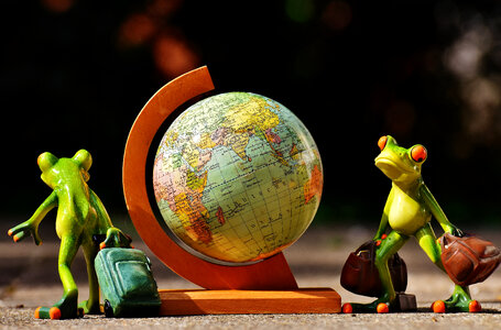 Miniature Globe with two frogs