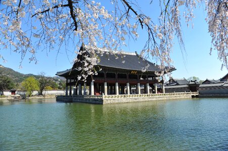 Seoul gyeongbok palace roof tile photo