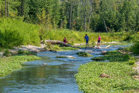 Kids playing on log in stream-2 photo