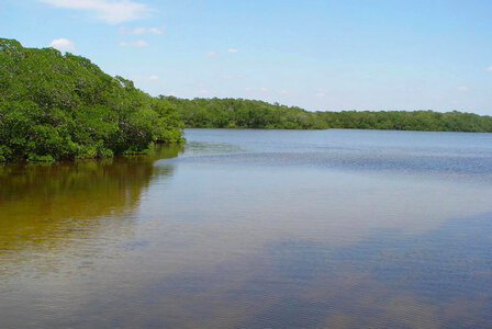 Ding Darling National Wildlife Refuge-7