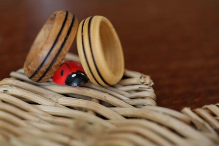 Ladybug wicker basket wedding ring photo