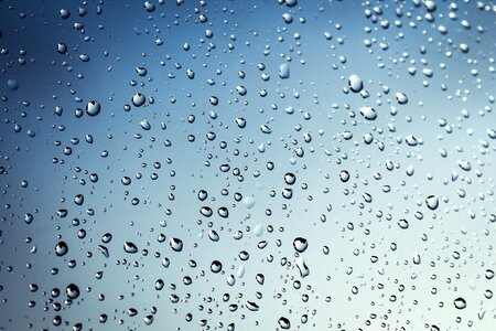 Wet droplets nature photo