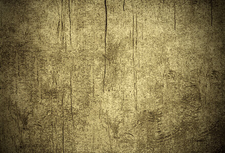 Grunge Texture Background photo