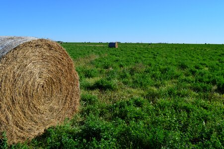 Prairie harvest straw photo
