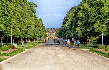 Road bicycles trees photo