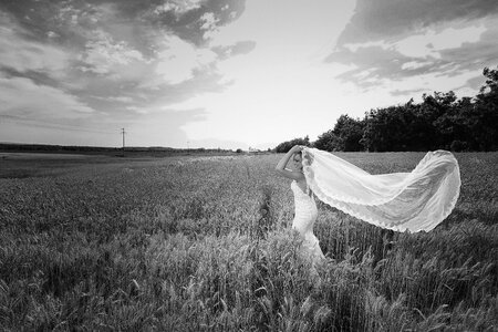 Bride wedding dress veil photo