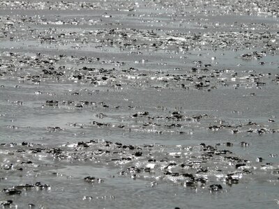 Schlick sand water photo