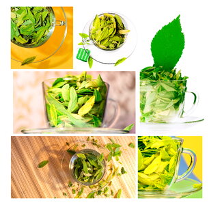 Green leaves in cups
