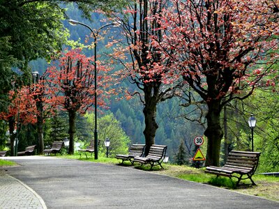 Tourism travel tour