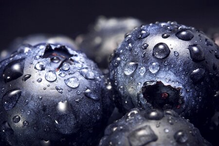 Beautiful Photo berries blue