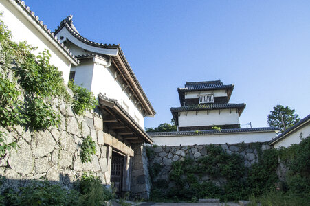 8 Fukuoka castle