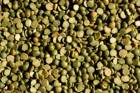 Lentil produce food