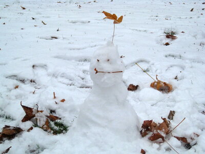 Snowman Winter Snow photo